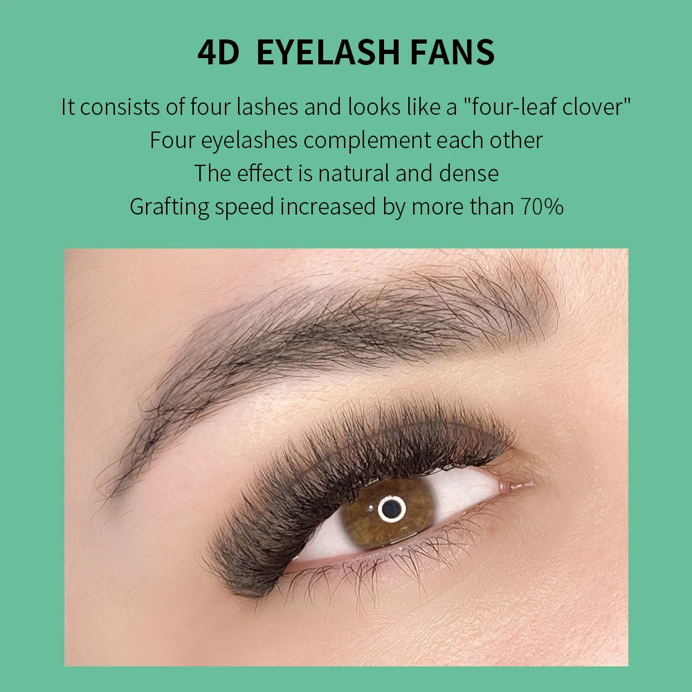 GLAMLASH 4D W Shape Eyelash Ex - Lash Fan Volume avaliação e preço