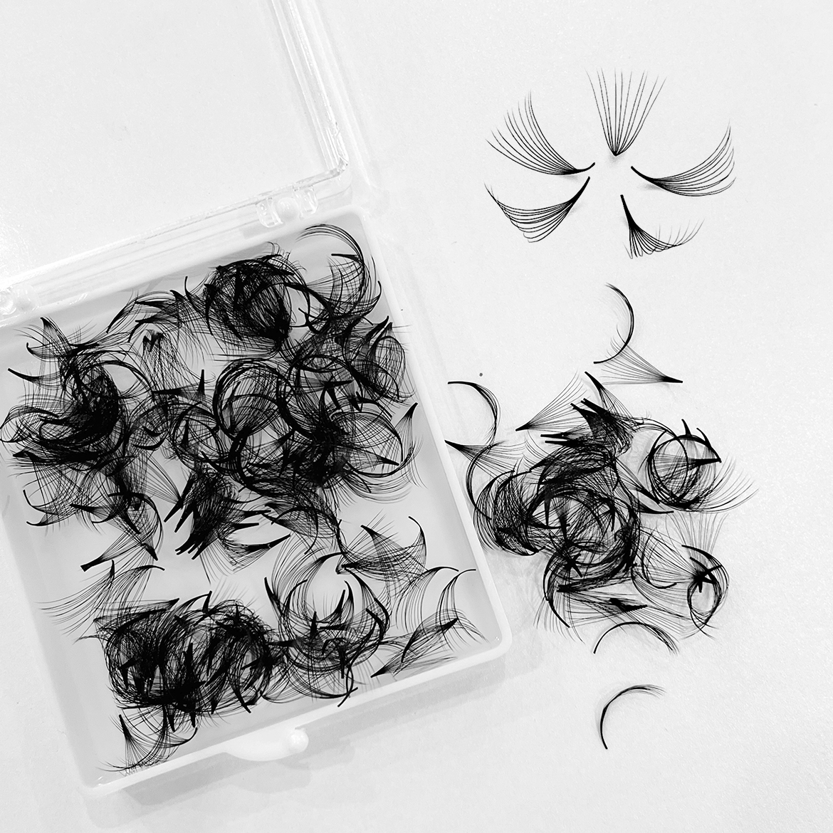 ABONNIE 500 Fans Thin Pointy B - Lash Fan Volume avaliação e preço