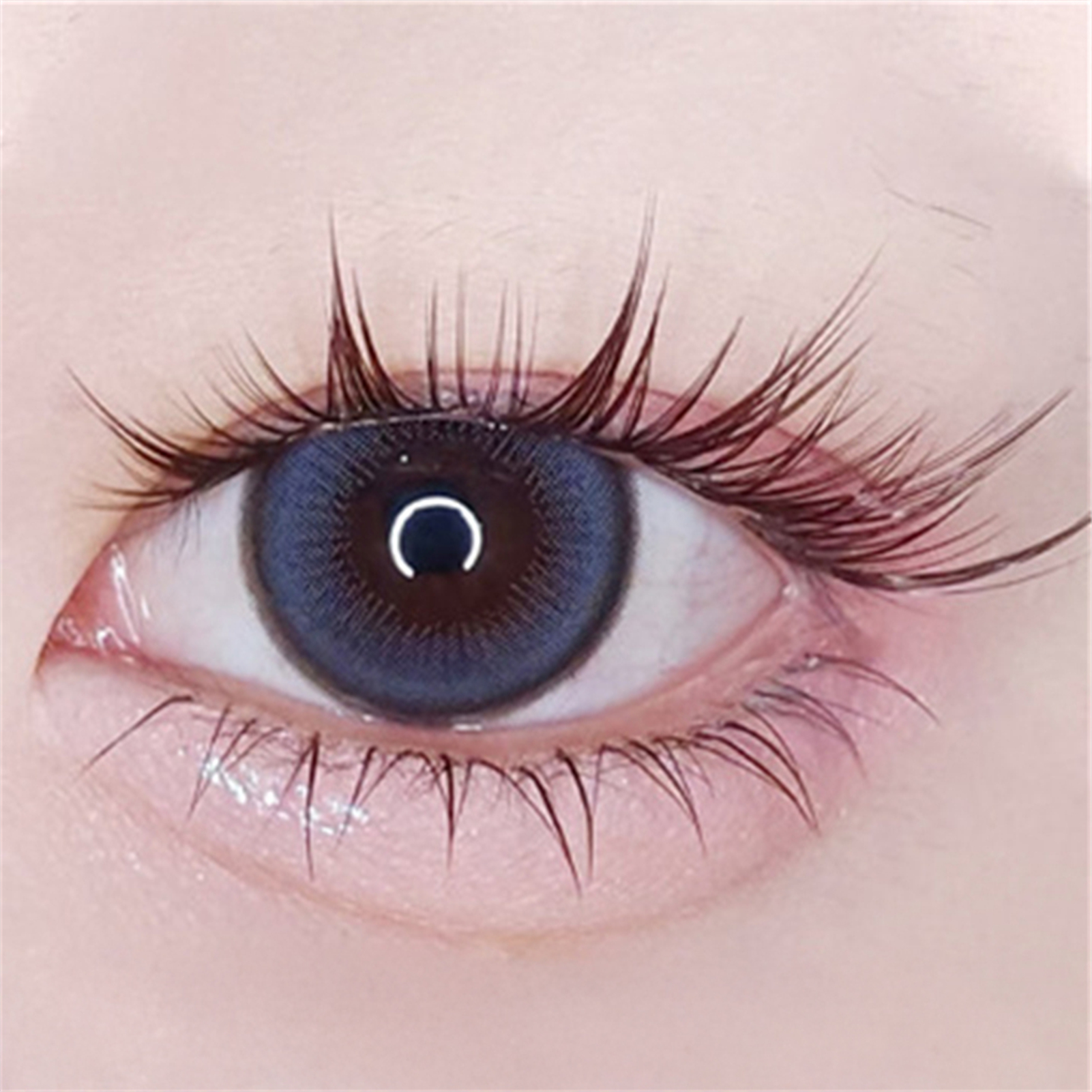 10rows Cat Eye Anime Lower Fal - Eyelash Extension Volume Cat Eye avaliação e preço