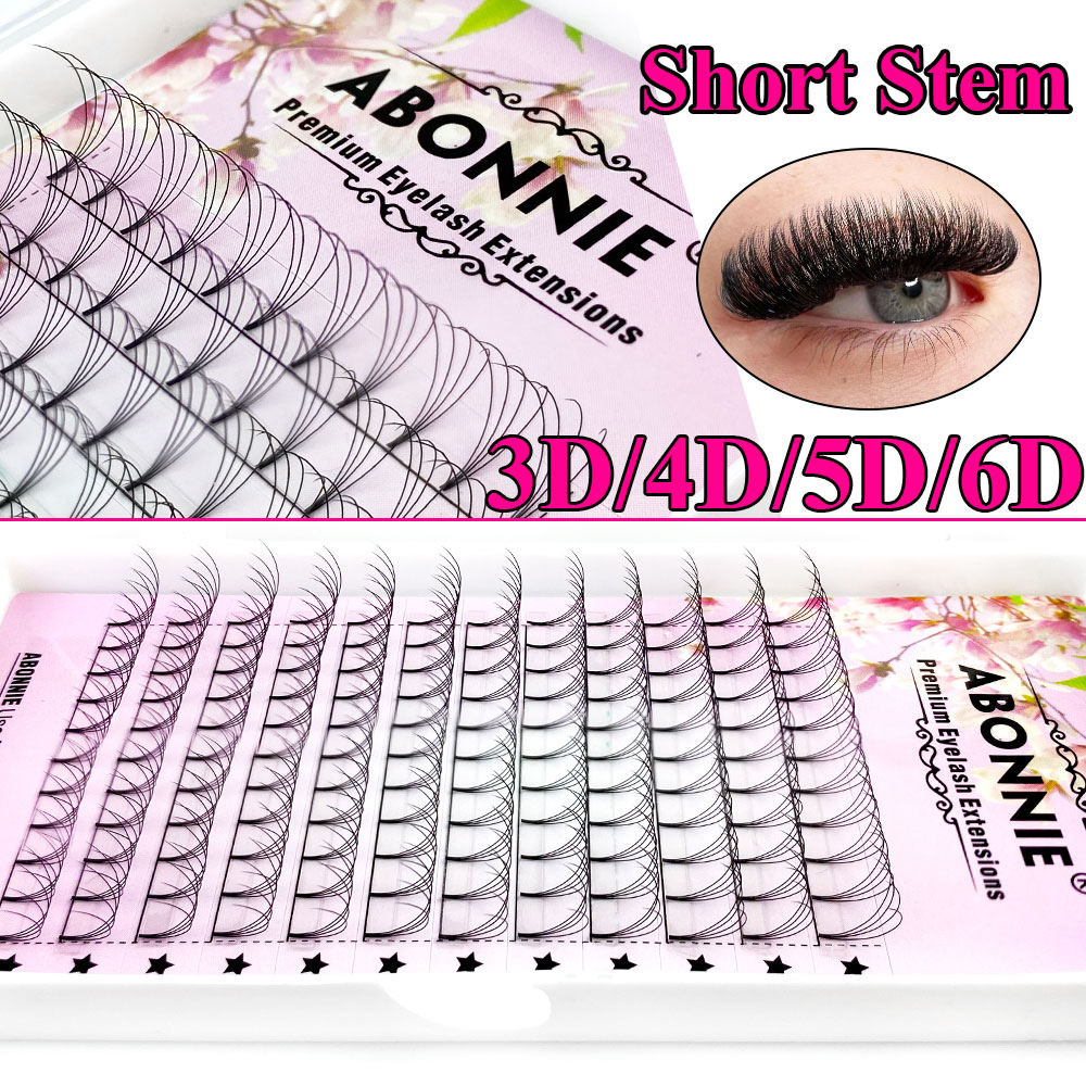Abonnie 6D Narrow Fan Premade  - Eyelash Extension C Curl avaliação e preço
